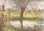 William Bell Scott Landscape with a Gate and Watermeadow (mk46) Spain oil painting artist